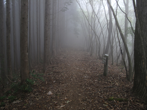 20151021hike (196)